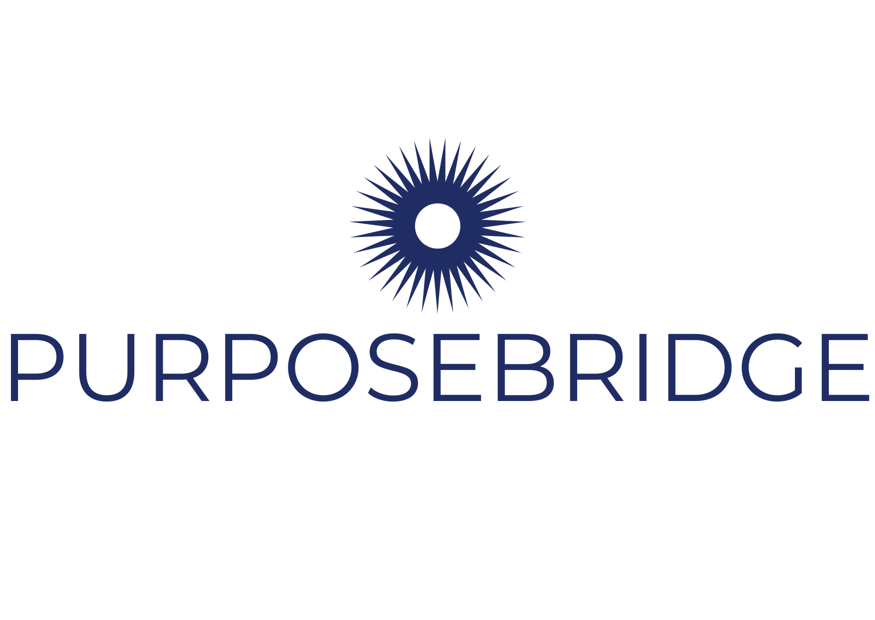 purposebridge software solutions 